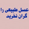 انواع عسل مستقیم از زنبوردار طبیعی و سالم - فقط عسل به صورت تخصصی -