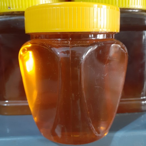 عسل طبیعی چند گل (1 کیلویی)