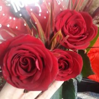 گالری مرزین