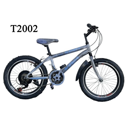 دوچرخه ایرانی سایز 20 کد T2002 - باسلام