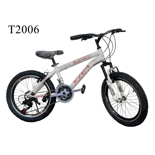 دوچرخه ایرانی سایز 20 کد T2006 - باسلام