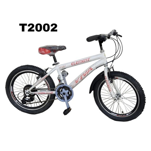 دوچرخه ایرانی سایز 20 کد T2002 - باسلام