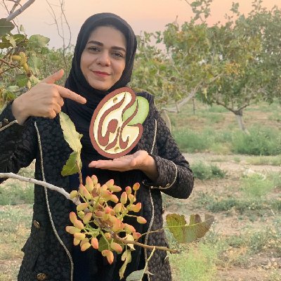 بارمان پسته