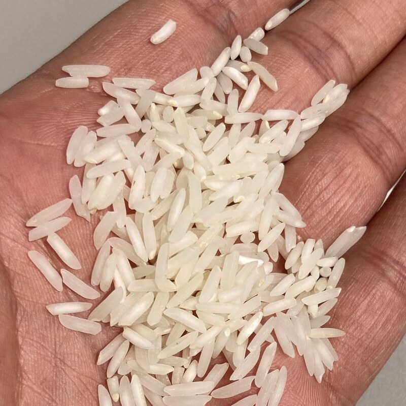 برنج شیرودی شمال خوش پخت و یکدست دمکده 10 کیلویی ارسال رایگان به سراسر ایران 