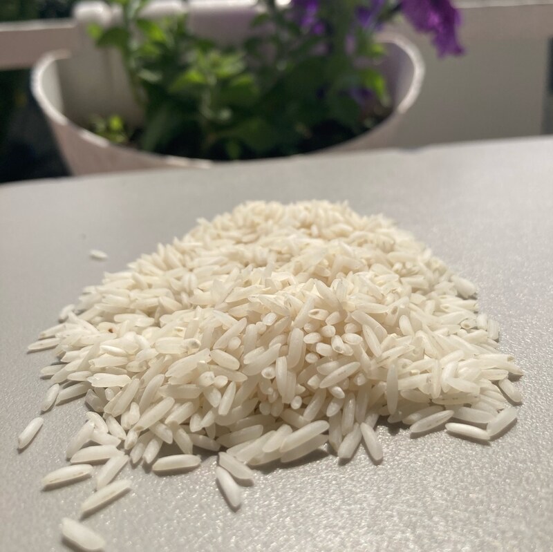 برنج شیرودی شمال خوش پخت و یکدست دمکده 20 کیلویی ارسال رایگان به سراسر ایران 