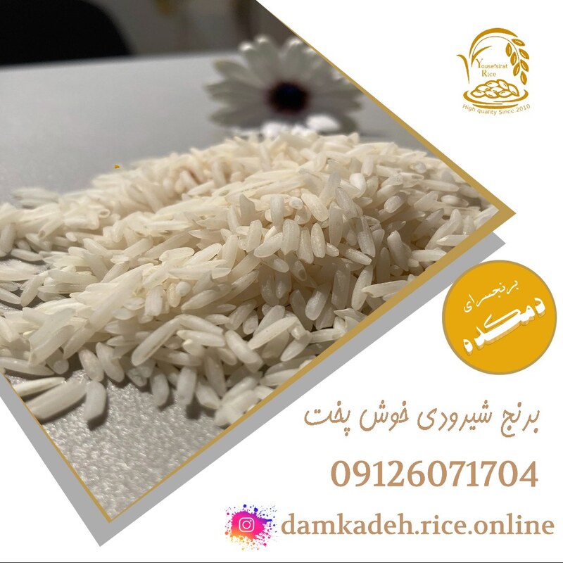 برنج شیرودی شمال خوش پخت و یکدست دمکده 10 کیلویی ارسال رایگان به سراسر ایران 