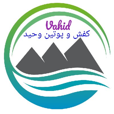 کفش و پوتین  وحید