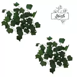 ریسه نخی انگور  بسته دو عددی