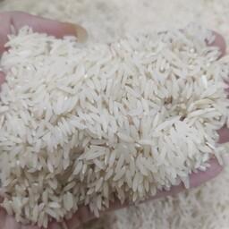 برنج طارم هاشمی کشت دوم