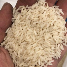 برنج صدری هاشمی 10کیلوگرمی  ارگانیک معطر  یکدست پاک شده 