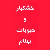بهنام حسامپور