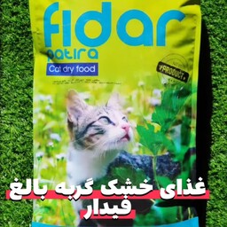 غذای خشک گربه فیدار Fidar مدل Adult وزن 10 کیلوگرم

Fidar Patira Adult Cat dry food 10 kg
