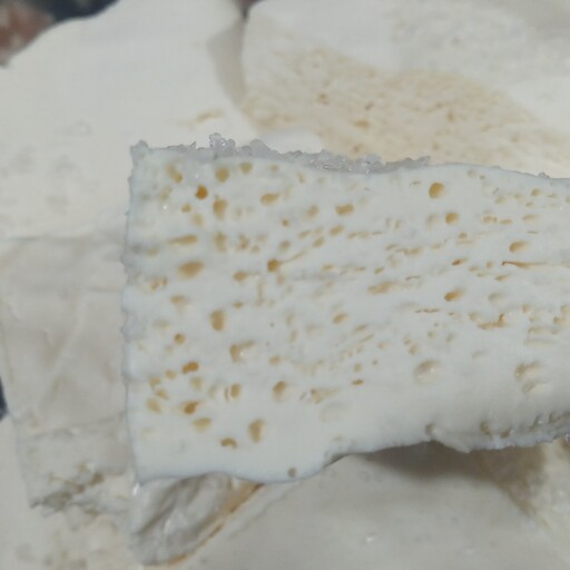 پنیر محلی اصل یک کیلویی اصل ساوالان  جایزه به همراه ما الجبن 