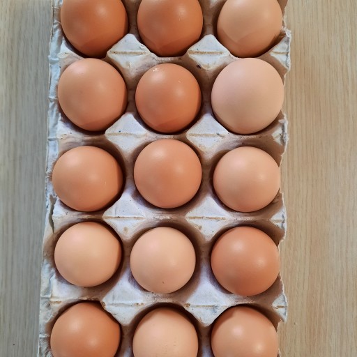 تخم مرغ محلی صددرصد طبیعی (شانه15عددی)
