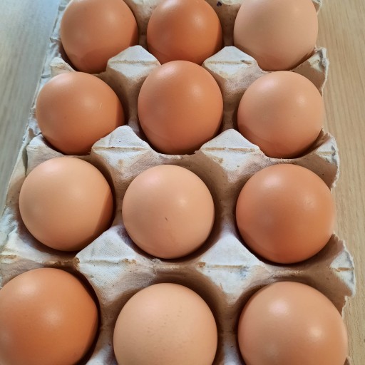 تخم مرغ محلی صددرصد طبیعی (شانه15عددی)