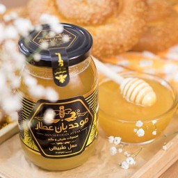 عسل گون رس شده 600 گرم(به شهرقم )