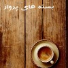 شادی دباغی