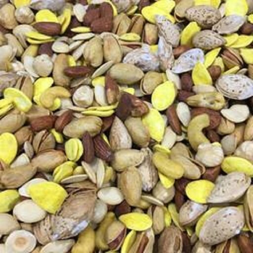 اجیل شور1000 گرم(فندق با پوست -بادام هندی -پسته با پوست-تخمه کدو  وجابنی- بادام منقی)