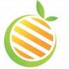 ارگانیک مارکت سبز پرتقالی