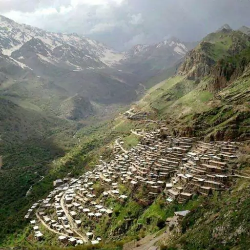 آویشن برگ پهن کوهستانی کوردستان درجه فوق عالی(100گرم)