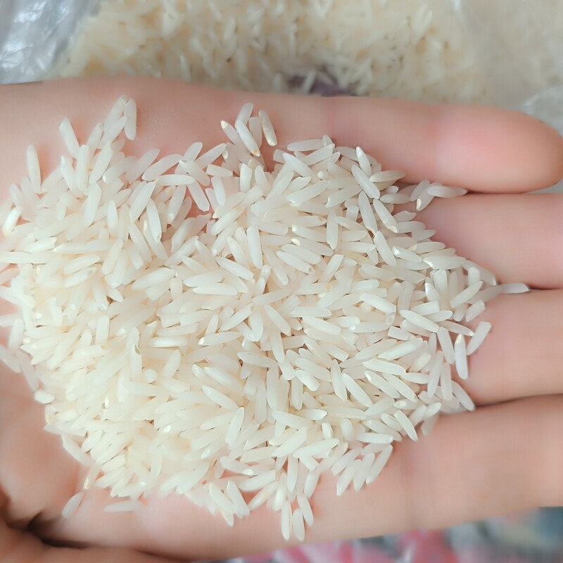 برنج صدری  دم سیاه فوق اعلا