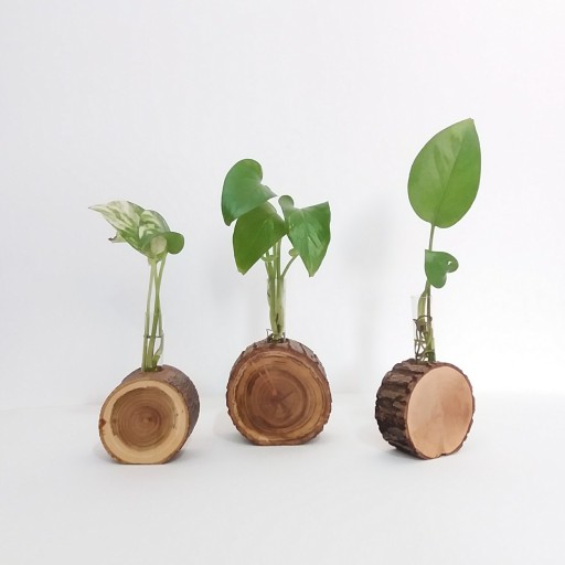 گلدان چوبی مدل گرد طبیعی