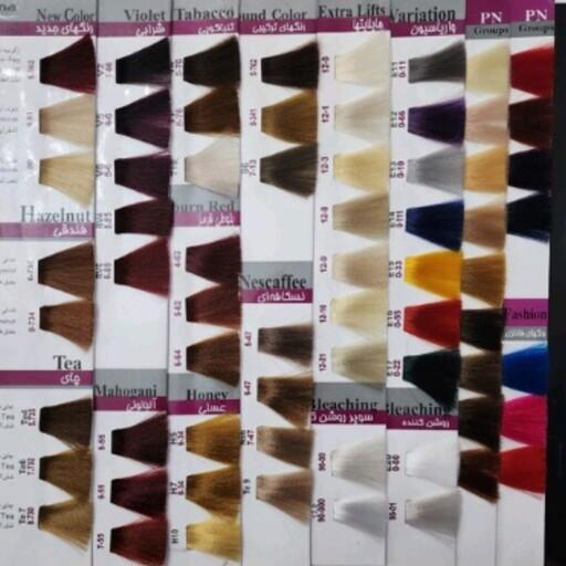 رنگ موی پادینا حجم 100 میل تمام رنگ های کاتالوگ موجود است