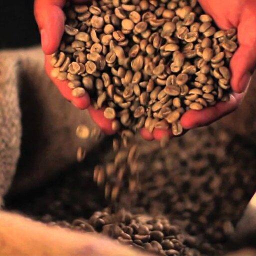 قهوه عربیکا اتیوپی گوجی اعلا 500 گرمی  Rima coffee  ریما عمده فروش قهوه و ماگ