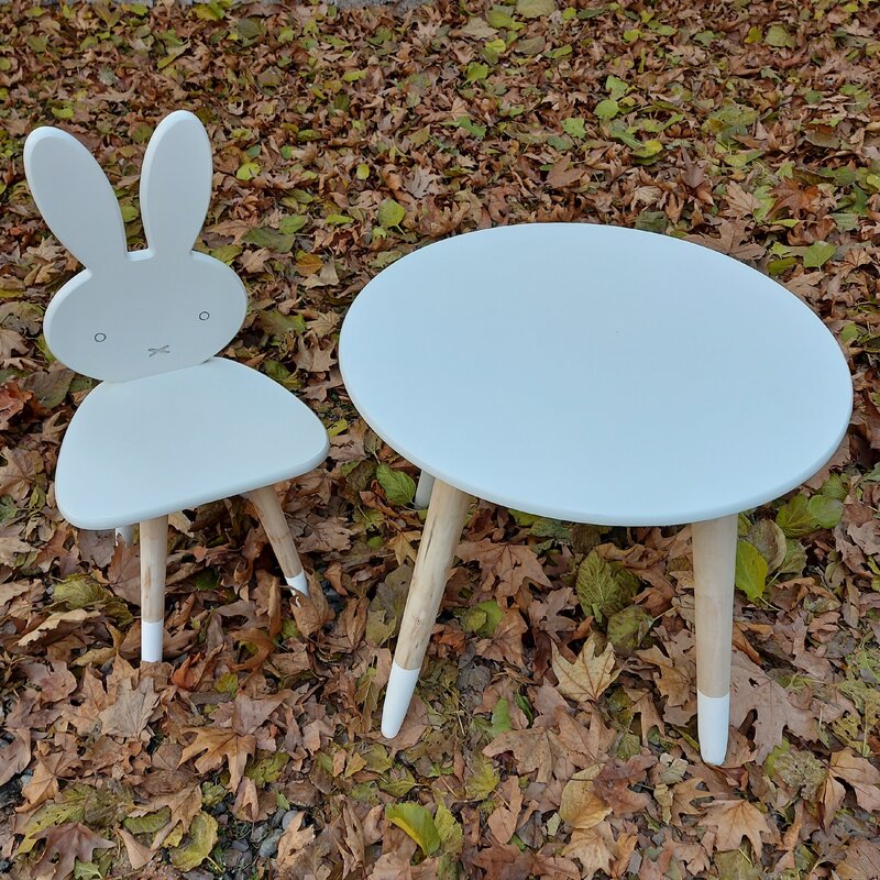 میز و صندلی کودک مدل خرگوش لب ضربدر
