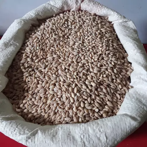 جو پوست کنده دیم محلی چهارمحال بختیاری (800گرمی)