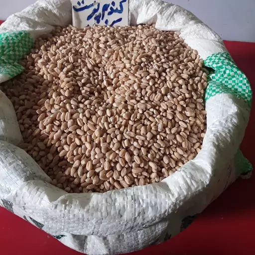 گندم پوست کنده محلی چهارمحال بختیاری (800گرمی)