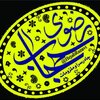 💠 حجاب رضوی 💠 محسن مهدی زاده 💠