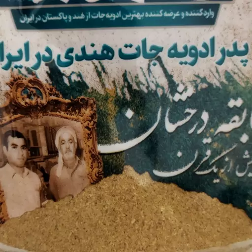 ادویه کاری خورشتی حاج محمد جلالی (100گرم)