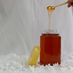 عسل (1 کیلویی)