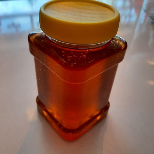 عسل بهاره چهل گیاه سبلان (ارسال سریع ) یک کیلو گرم