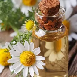 روغن گیاهی بابونه درجه یک در بسته بندی 100 سی سی  با قیمت مناسب 