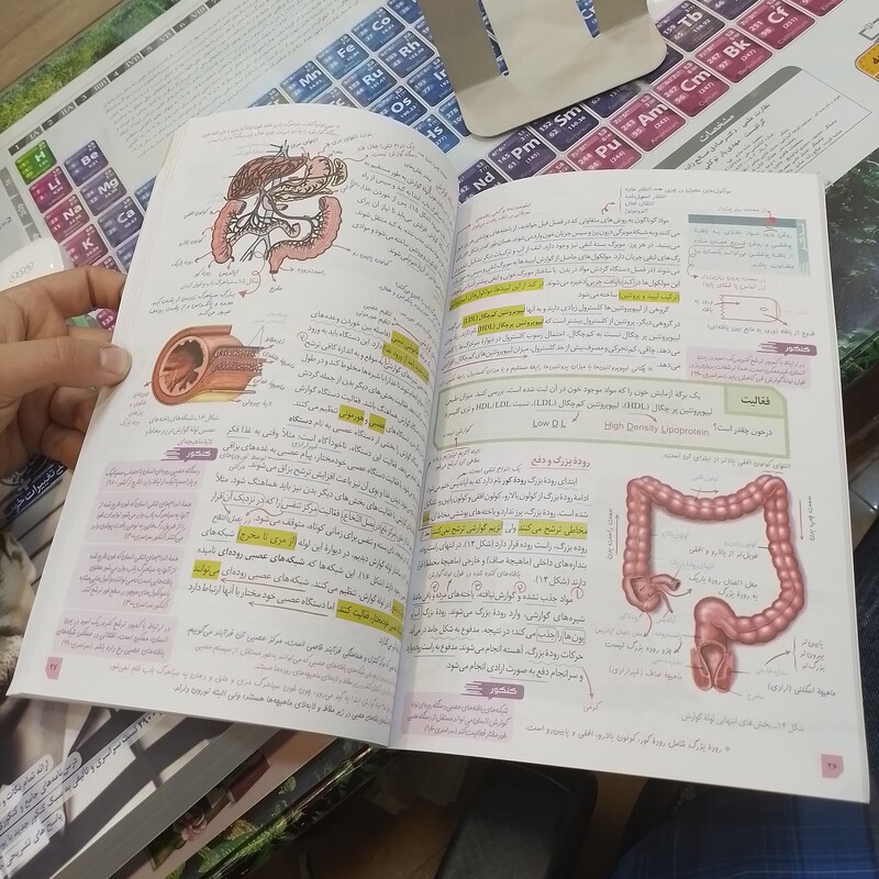 کتاب درسی...زیر ذره بین...زیست شناسی 1...دهم
