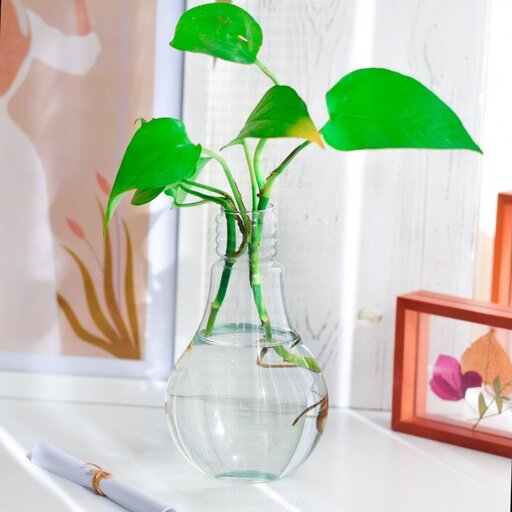 تنگ گلدان شیشه ای مدل طرح لامپ