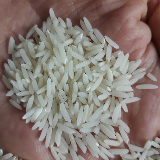 برنج طارم هاشمی سورت شده بسته 5 کیلویی تولید مرداد 1402 