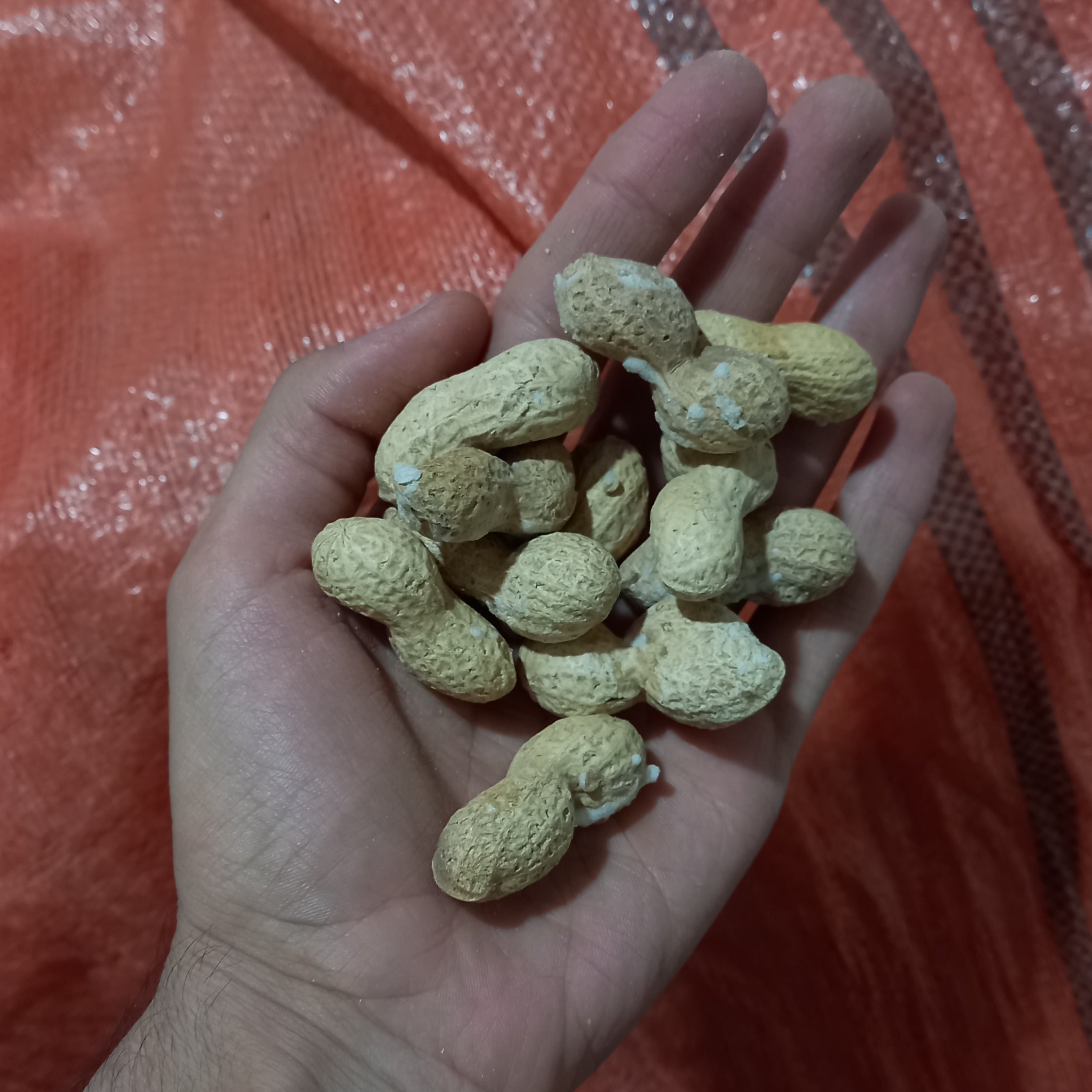 بادام زمینی ایرانی غلافشور درجه یک اعلا