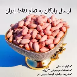 بادام زمینی خام تبرک مغان درجه دو ( سایز متوسط رو به بالا مغز ) امسال 100 کیلویی عمده