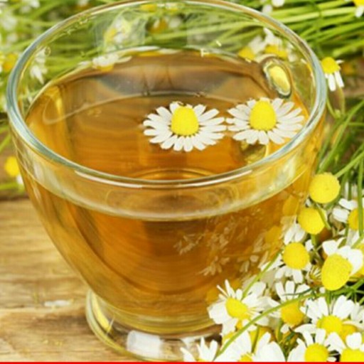 نبات،دمنوش بابونه یک کیلویی