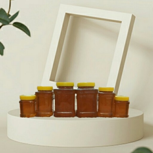 عسل چند گیاه بهاره دو کیلویی ارتفاعات ارومیه بدون تغذیه مصنوعی