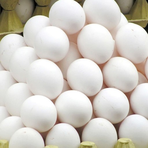 تخم مرغ ارگانیک سیمرغ ، تغذیه شده با دانه های طبیعی و ارگانیک 