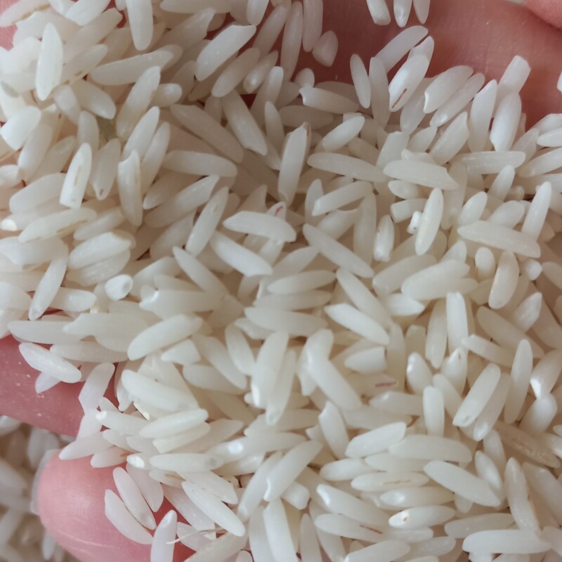 برنج فجر فریدونکنار  خالص و یکدست و خوش پخت و مجلسی پسند