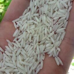 برنج شیرودی فریدونکنار در بسته 15کیلویی