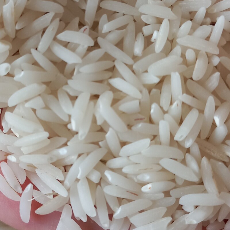 برنج شیرودی خوشپخت و اعلاو قیمت خیلی مناسب20 کیلویی