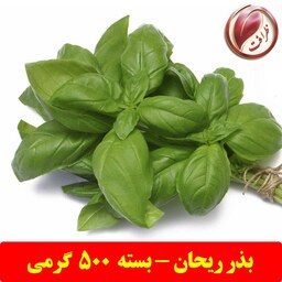 بذر ریحان سبز (بسته 500 گرمی)