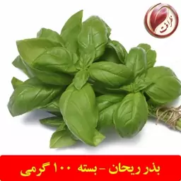 بذر ریحان سبز (بسته 100 گرمی)