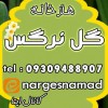 هنرخانه گل نرگس